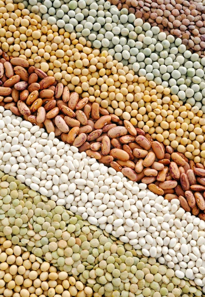 Mischung aus getrockneten Linsen, Erbsen, Sojabohnen, Bohnen - Hintergrund — Stockfoto