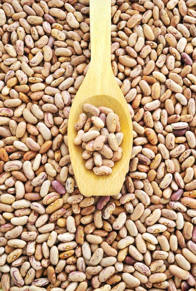Wooden spoon and dried pinto beans — Stock Photo, Image