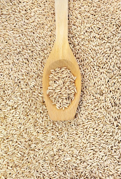 Wooden spoon and dried husked oats — Stock Photo, Image