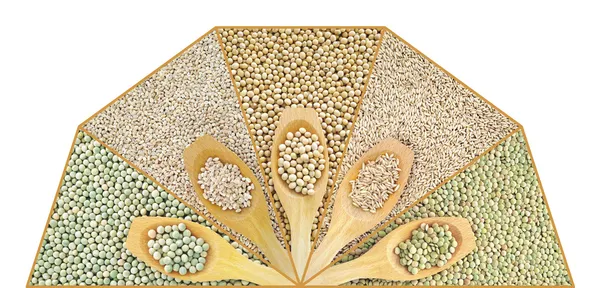 Colagem de lentilha seca, ervilha, soja, aveia e cevada — Fotografia de Stock