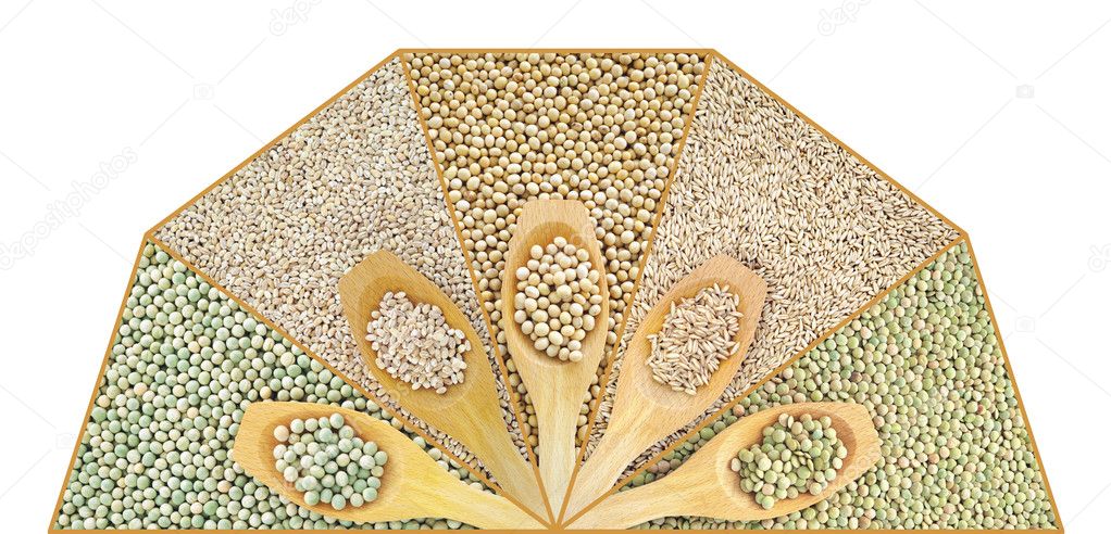 Collage of dry lentil, pea, soybean, oat and barleycorn