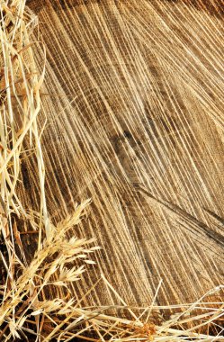 Detail of wooden cut texture and dry grass hay - frame clipart