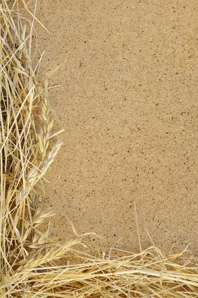 Detail of dry grass hay and OSB, oriented strand board - frame — Stock Photo, Image