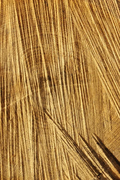 Деталь дерев'яної різьблення текстури кільця і різання пилки дуб фон — стокове фото