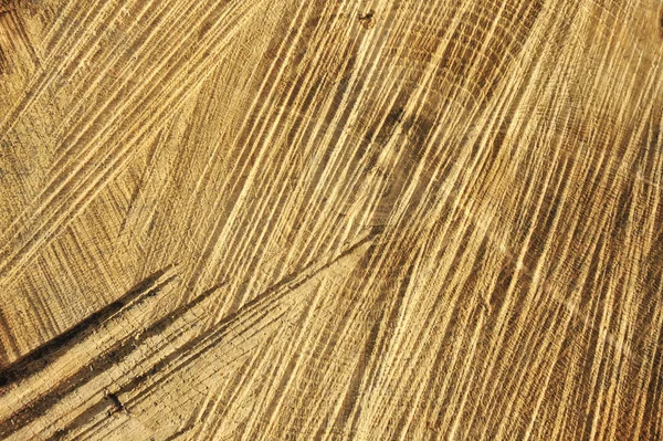 木造の詳細カット テクスチャ リングと見たカット オーク — ストック写真