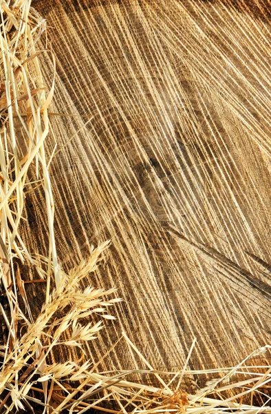 Detail of wooden cut texture and dry grass hay - frame — Stock Photo, Image