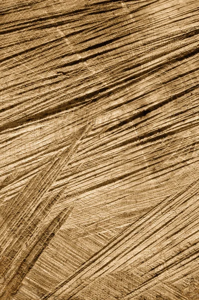Detail of wooden cut texture - rings and saw cuts - oak - background — Stock Photo, Image