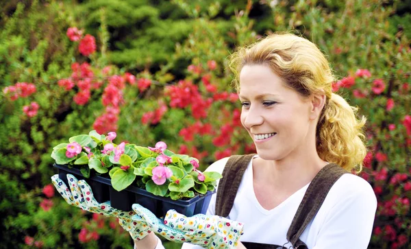コンテナー栽培の植物を持つ女性 — ストック写真