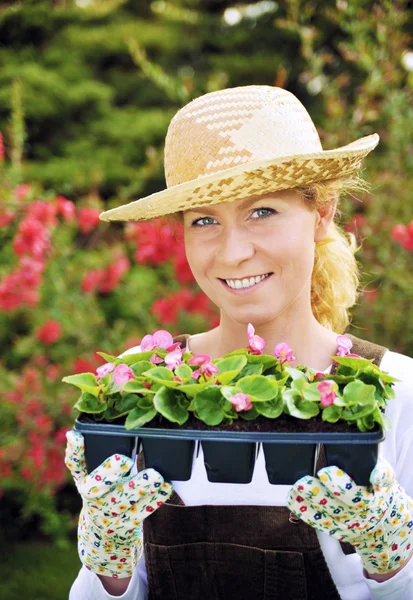 Woman with container-grown plants — Stock Photo, Image