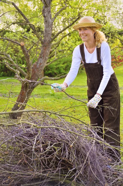 Jovem Mulher Limpando Membros Árvore — Fotografia de Stock