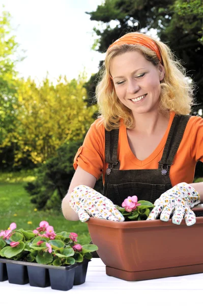 Ung kvinna trädgårdsskötsel - plantering blommor — Stockfoto