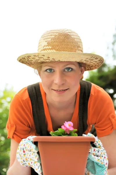 Jonge vrouw - tuinieren - potgrond begonia — Stockfoto