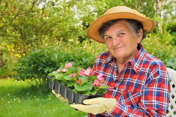Seniorin Gartenarbeit — Stockfoto