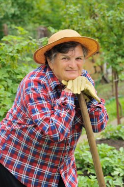 Senior woman gardening clipart