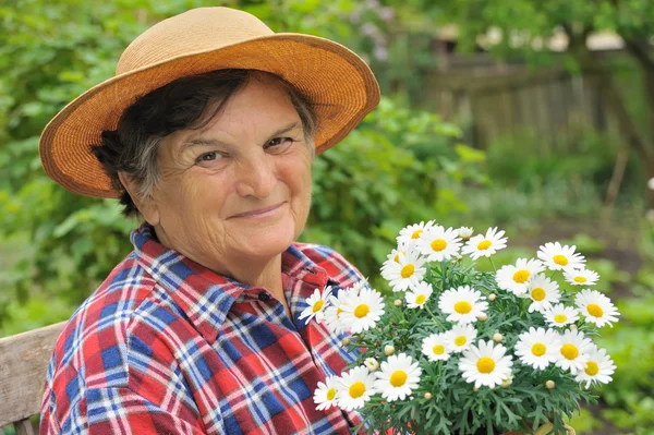 Senior vrouw tuinieren - bedrijf daisy — Stockfoto