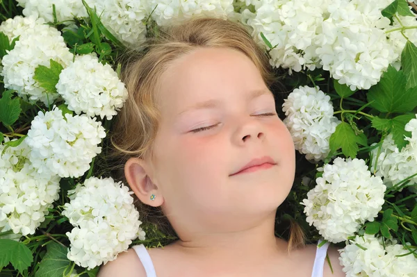 Kleines Mädchen Das Blumen Liegt Schneeball — Stockfoto
