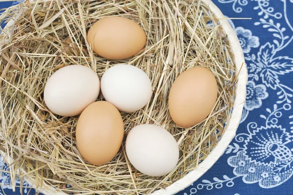 Gospodarstwo świeżych jaj w scuttle z siana — Zdjęcie stockowe