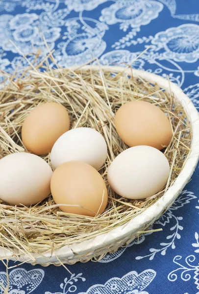 Свежие Фермерские Яйца Мусоре Сеном — стоковое фото