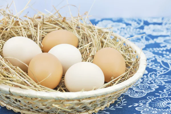 Verse boerderij eieren in schutbord met hooi — Stockfoto