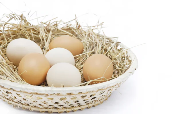 Scuttle Saman Ile Taze Çiftlik Yumurtaları Telifsiz Stok Imajlar