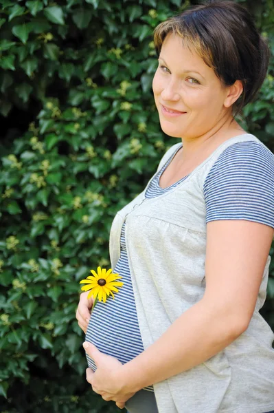 孕妇持她的肚子和黄色的花 — 图库照片