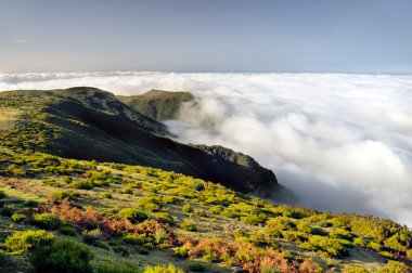 Valley, Lomba de Risco, Madeira clipart