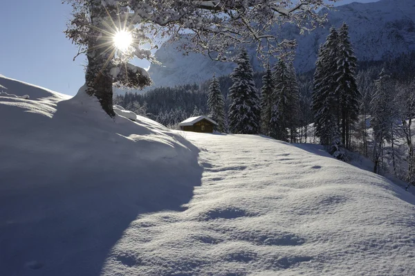 ドイツ バイエルン州 Uopper に晴れた冬の日に雪の中で寂しいコテージ — ストック写真