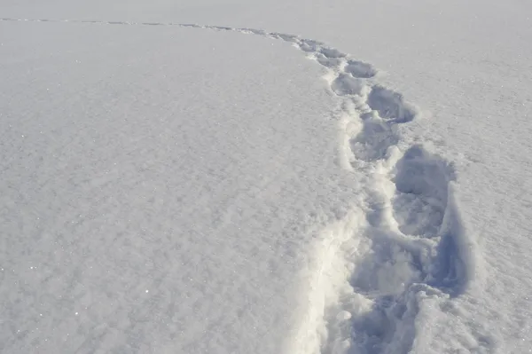 stock image Steps in snow