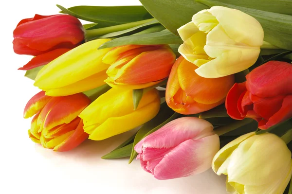 Velikonoční banda tulipány — Stock fotografie