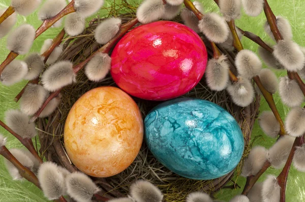 Pasen nest met eieren — Stockfoto