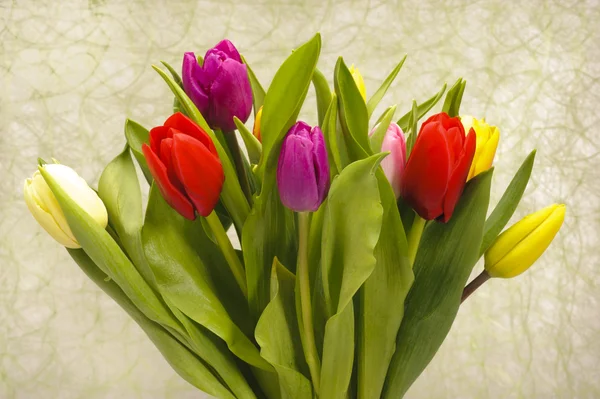 Bando de tulipas da Páscoa — Fotografia de Stock