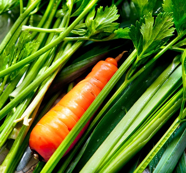 Karotten und grünes Gemüse — Stockfoto