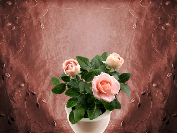 Rosas românticas — Fotografia de Stock