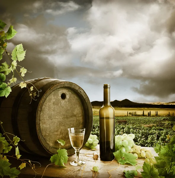 白葡萄酒和葡萄园在复古风格 — 图库照片