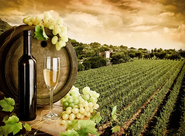 Wine and vineyard