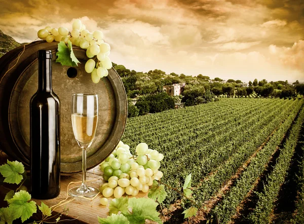 Şarap ve üzüm bağı Telifsiz Stok Fotoğraflar