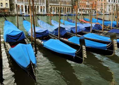 Gondolas on Grand Canal, Venice, Italy clipart