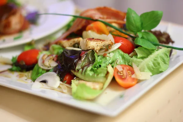 Salad with grilled chicken — Stock Photo, Image