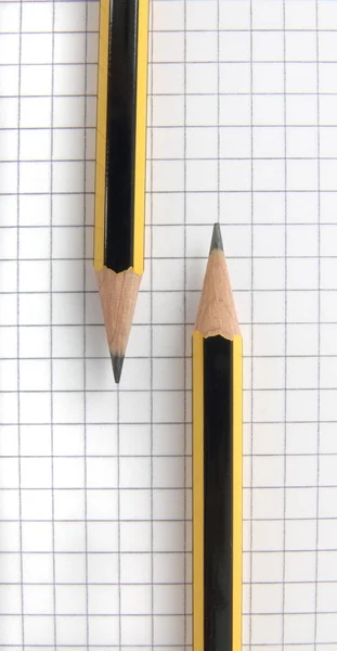 Покладання олівців на аркуш — стокове фото
