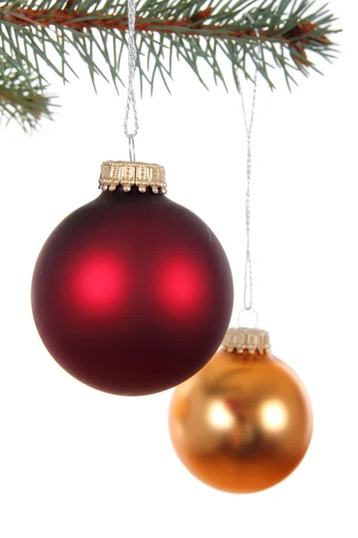 Weihnachtskugel und grüne Fichtenzweige — Stockfoto