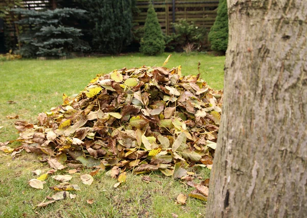 Stos Opadłych Liści Jesienią Ogrodzie — Zdjęcie stockowe