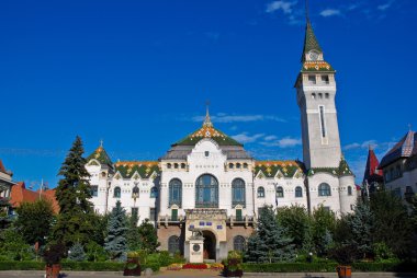 Targu Mures - Administrative Palace clipart