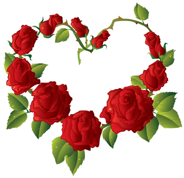 Heart shape Framework made of Beautiful red roses — Stock Vector ...