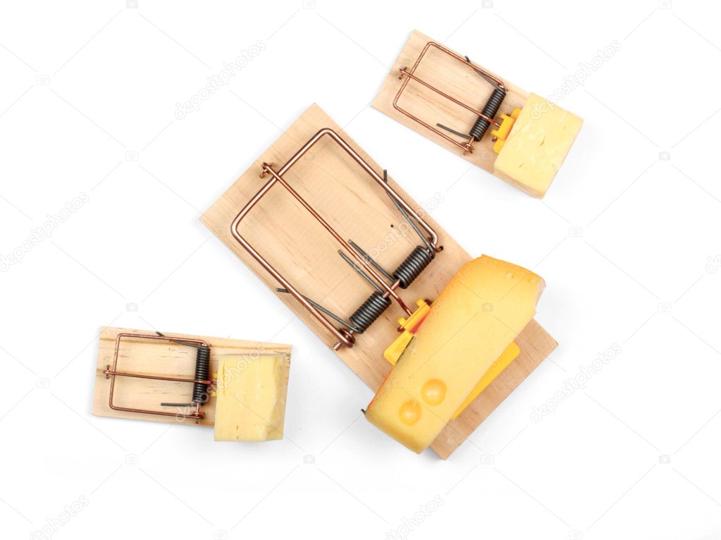 Three mouse traps with cheese