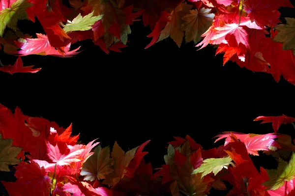 Осенние листья в ярком свете — стоковое фото