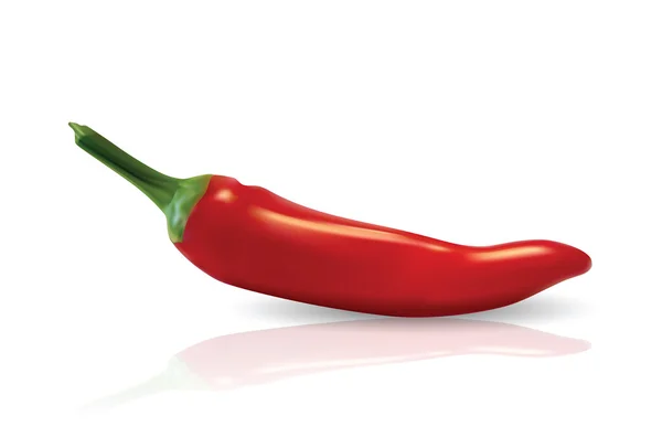 Photorealistic illustration of a chilli — Stock Vector