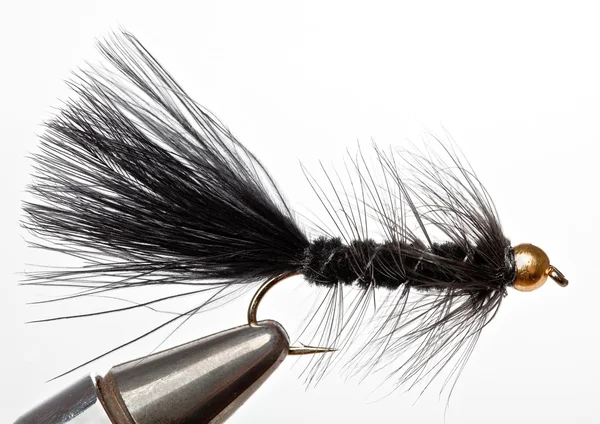 Versátil mosca de pesca que imita un Minnow . Imagen de stock