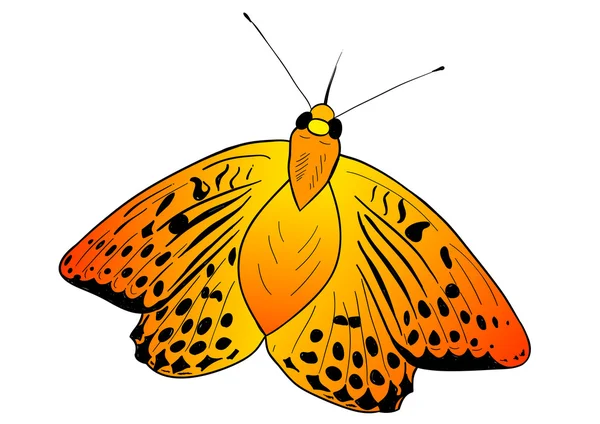 Motyl — Wektor stockowy