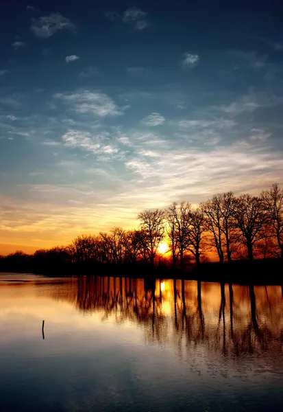 Солнечный Вечер Деревьями — стоковое фото