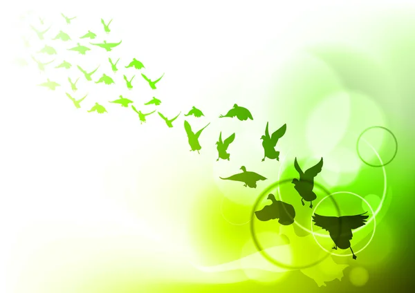 Fåglar grön — Stock vektor